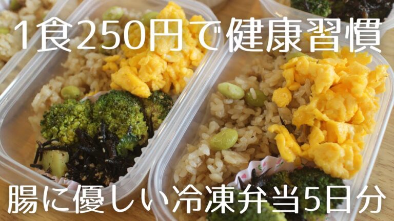 【作り置き】冷凍OK２５０円で腸活弁当