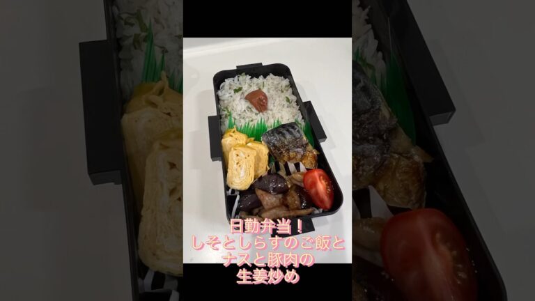 日勤弁当！しそとしらすのご飯とナスと豚肉の生姜焼き風#shorts #short