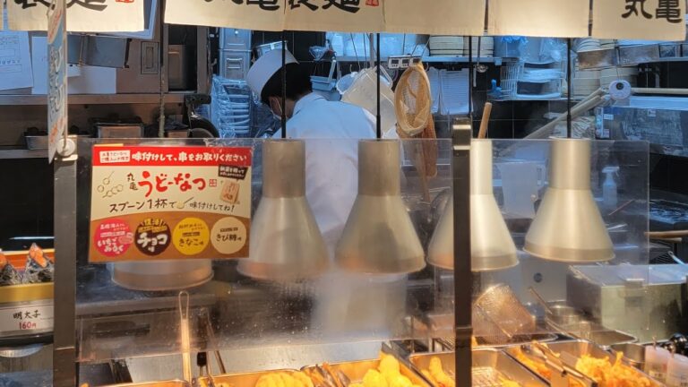 【ゲリラ】鬼ぶっかけおろし豚しゃぶうどん特盛【グルメ系YouTuber】残したら即引退後！