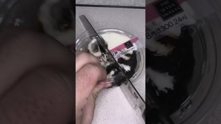 セブンイレブンのホイップで食べるコーヒーわらび餅を切りました。　#セブンイレブン #コーヒー #わらび餅  Japan convenience store food