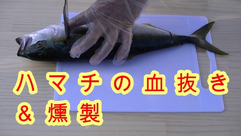 ハマチの血抜き＆燻製。究極の血抜き津本式（自己流）スモーク。ソミュール液に一晩漬けこみます。オーガニック　NON-GNO　非遺伝子組み換え　無添加
