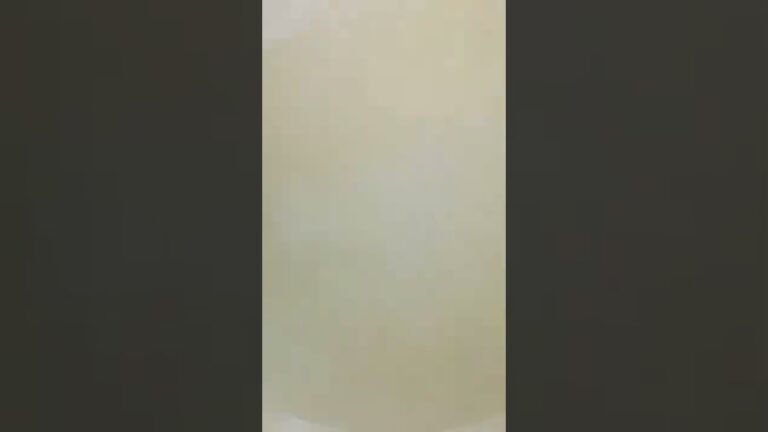 洋菓子店の本気賄い（天津飯）#shorts #中華料理 #天津飯 #チャーハン #まかない #飯テロ#米粉