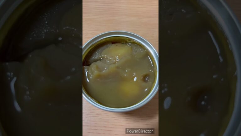 栗鹿ノ子　栗きんとん　あまあまでうま　初めて食べた　#shorts