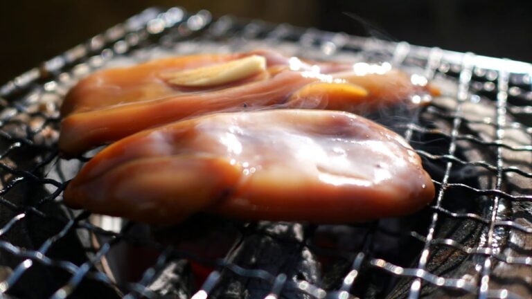 【JAPANESE ASMR】JAPANESE CHARCOALGRILL BBQ SQUID