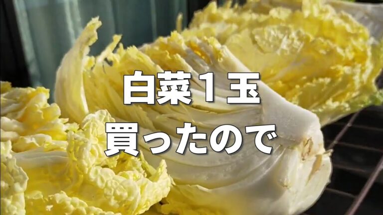 白菜大量レシピ＆保存　北斗さんの試してみたらとてもよかった