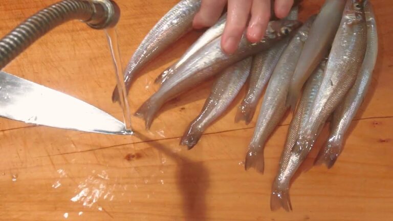 《鱚（キス）とオクラの酢の物》・・・・大和の　和の料理《酢の物（リハビリ編）》