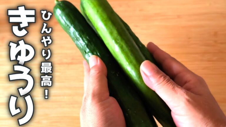 【きゅうりレシピ】簡単！冷やして感動！叩ききゅうりの1本漬け