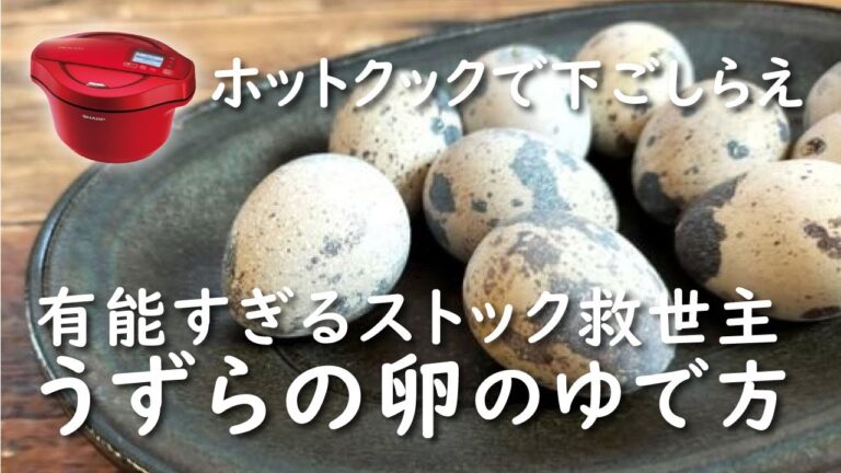 【ホットクック×下ごしらえ】うずらの卵のゆで方｜卵革命！これで水煮より多く食べれる
