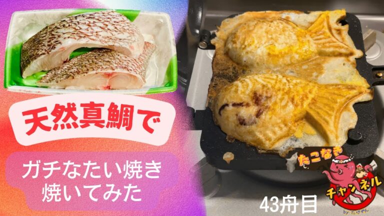 天然真鯛でガチなたい焼き たい焼き レシピ たい焼き器 ヨドバシ Taiyaki @たこなきチャンネル