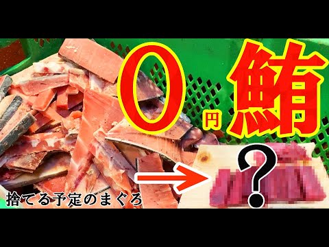 0円 で 仕入れた まぐろ は食べられるのか？？【 大人気！ マグロ シリーズ  せり人ムタロー  魚料理 】