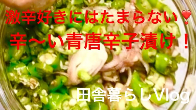 [料理　保存]辛いもの好きにはたまらない❣️辛〜い青唐辛子漬け！田舎暮らしVlog