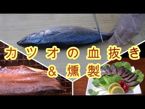 カツオの血抜き＆燻製。究極の血抜き津本式（自己流）オーガニック　NON-GMO 無添加　非遺伝子組み換え　スモーク。smokinng　Skipjack
