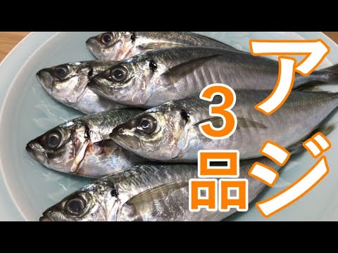 アジ簡単レシピ３品　カレー南蛮、ホイル焼き、みぞれあんかけ【料理動画】
