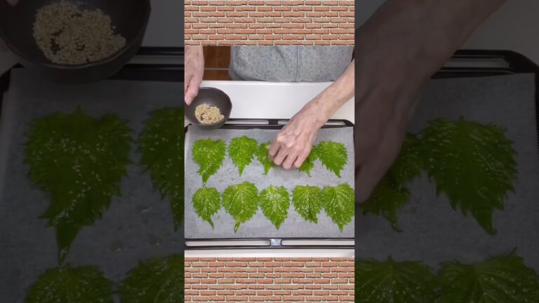 おつまみに最高！大葉のパリパリ焼きの作り方♪#shorts#shokenママ#大葉のパリパリ焼き