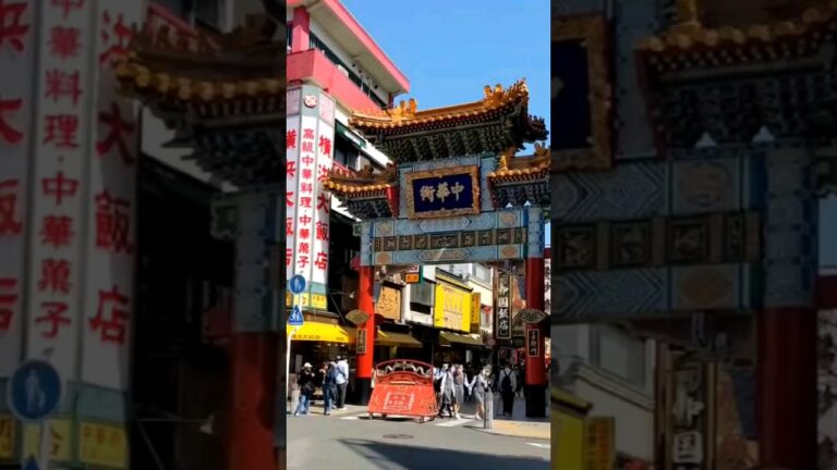 「什錦炒麺　五目焼きそば」横浜中華街 “広東家庭料理 愛群” 具沢山で海鮮の風味溢れる餡がたまらないっ！間違いのない一品♪　#shorts #五目焼きそば #あんかけ焼きそば #中華街 #広東料理