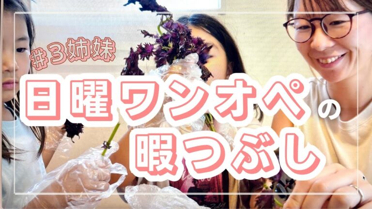 【喧嘩しながらの暇つぶし料理】梅&しそシロップ作ってみました