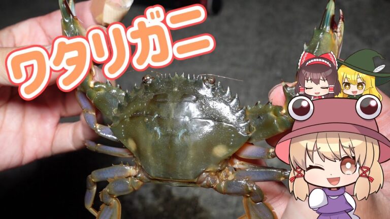 【ゆっくり実況】夜の漁港の食材で作る日本のソウルフード【ゆっくり料理】【ゆっくり解説】