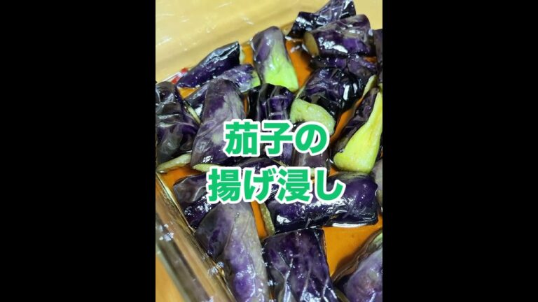 夏野菜祭り開催・ゴーヤ炒め&茄子の揚げ浸し&焼き野菜でウマニッシモ！　らくさぶろうの日々食日記946