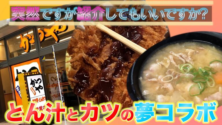 【かつや】寒い時期に最高のとん汁！さらにヒレカツまで贅沢気分な定食【東京新橋】