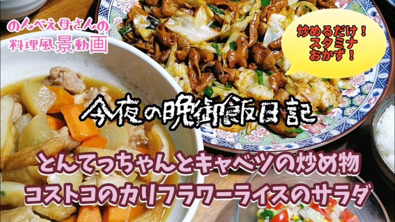 料理風景動画#117★スタミナ！ごはんが進む！とんてっちゃんとキャベツ炒め