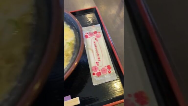 【6秒町うどん】大阪 北千里 めん処宇佐崎 卵とじうどん