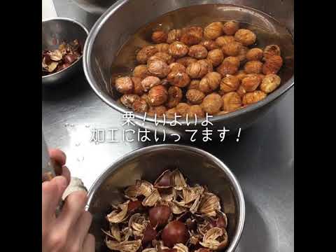 栗のケーキの栗炊き始まりました 菓子工房yamao