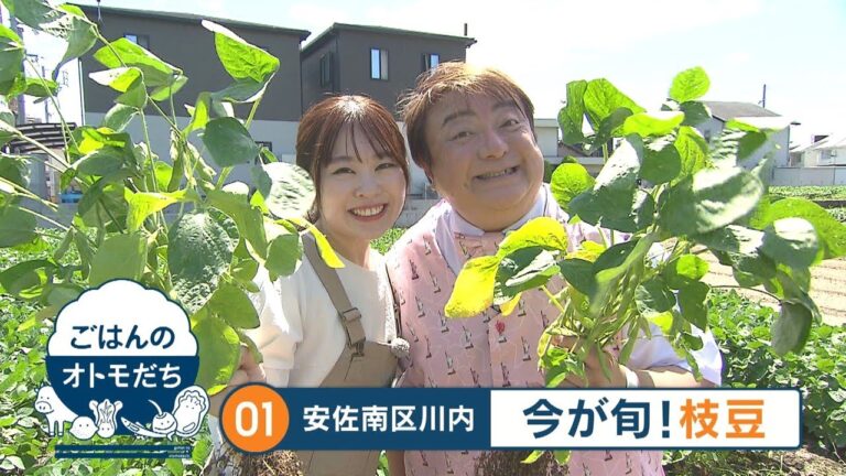 【ごはんのオトモだち】①枝豆（広島市安佐南区川内）