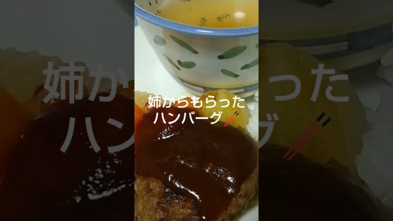 昨日の晩ごはん 姉からもらったハンバーグ！ #しあわせのまゆチャンネル #ハンバーグ