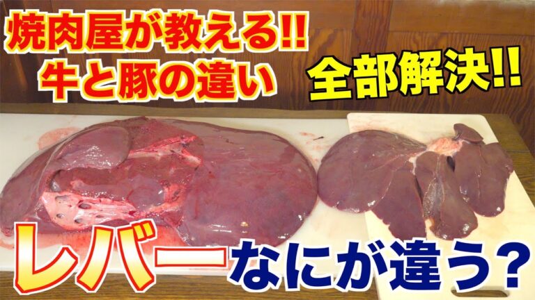【牛・豚の違い】レバーってどう違う？解説します!!
