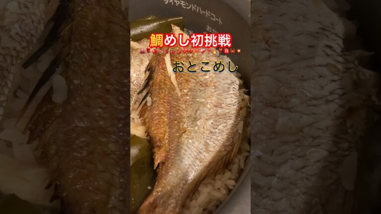 【鯛めし初挑戦】鯛を3枚に卸してクックパッドを参照🔪おとこめし🥘外はめっちゃ雨や☔️#男飯 #料理動画 #鯛めし