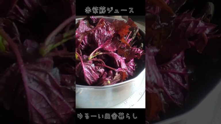 赤紫蘇ジュース