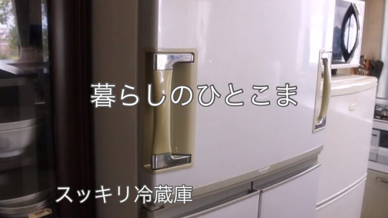 【60代暮らしのvlog】食料買い出し前と後のルーティン/体調管理/犬との暮らし/刺繍