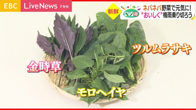 【ベジ得】ネバネバ野菜「つるむらさき」「モロヘイヤ」「金時草」