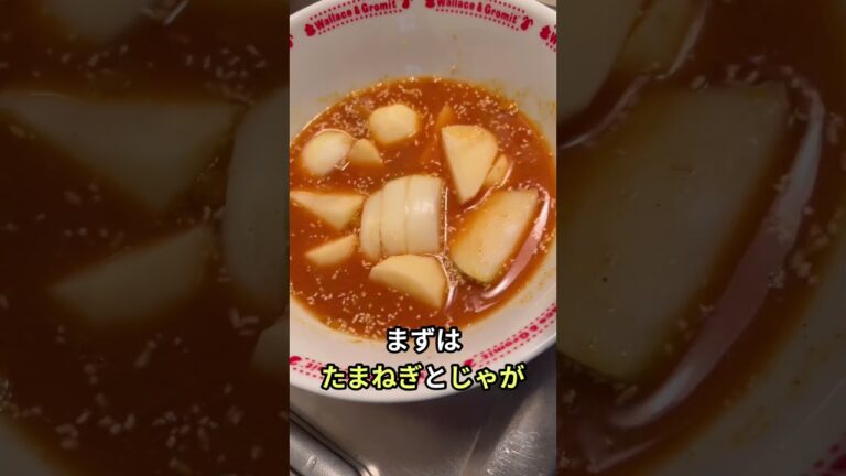 魚じゃないソーセージで簡単スープカレー作る45歳中年