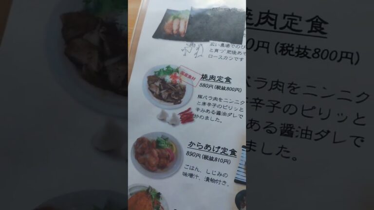 #彩花#茨城県#五霞町#定食屋#しょうが焼き定食#shorts