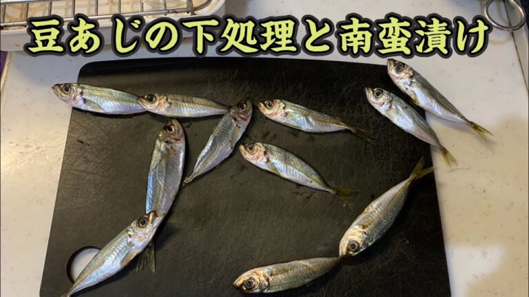 コスパ最強150円！頭から食べられる豆あじの下処理と南蛮漬けの作り方【子どもも大好き】