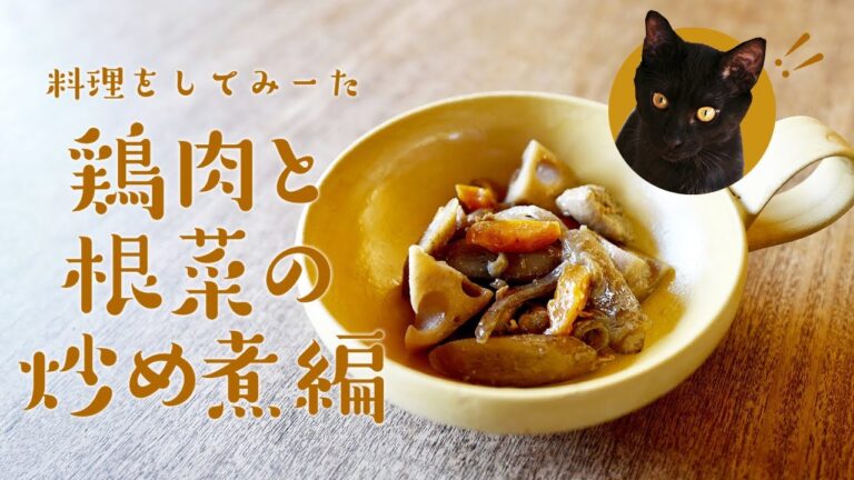 料理してみーた 鶏肉と根菜の炒め煮編