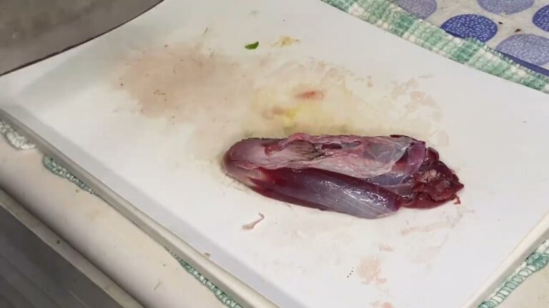 【ズボラ飯】圧力鍋で簡単ホロホロ鹿煮【ジビエ】