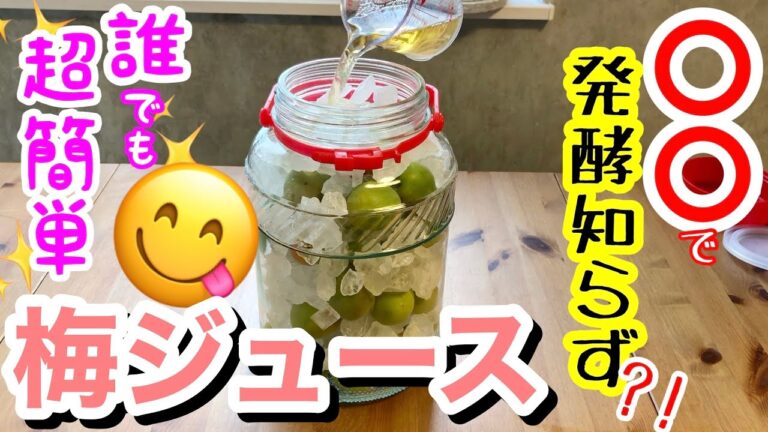 【梅ジュース（梅シロップ）作り方】厄介な発酵をしなくするには、家庭にある⭕️⭕️をちょい足し😆/ 仕込んで３週間であっという間に完成✨/ 梅ジュースで出た梅の活用術も‼️大人喜ぶ絶品おつまみ😋