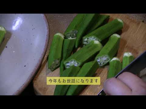 【KND】サバと焼きオクラのダシ漬けとオートミールおじや【NO川リバ】Porridge of mackerel and grilled okra in broth and oatmeal