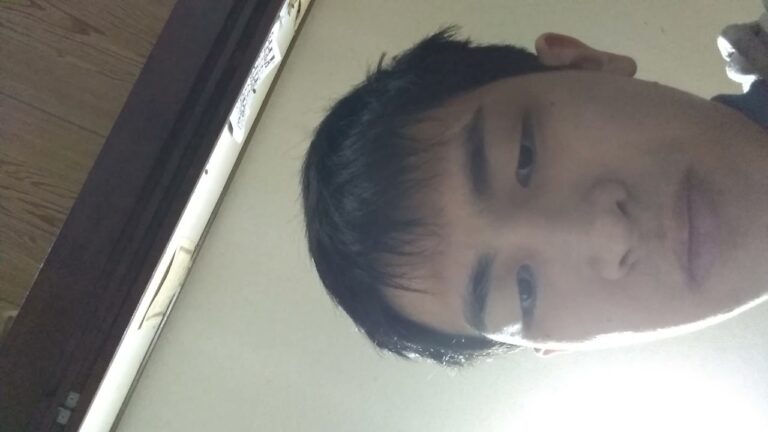 鶏ごぼうおにぎり　rice ball