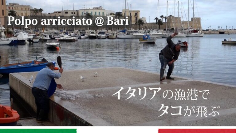 【Polpo arricciato】タコを叩きつける衝撃のイタリア漁師めし！