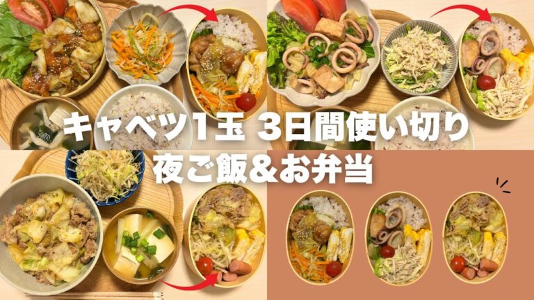 【二人暮らし】キャベツ1玉使い切り！3日間の夜ごはんとお弁当ルーティン