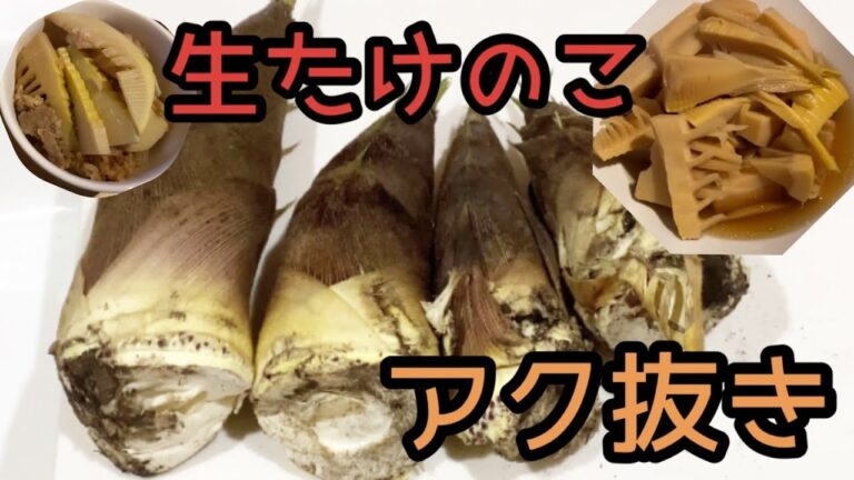 【生たけのこ】筍ご飯と煮物にした日【アク抜き】