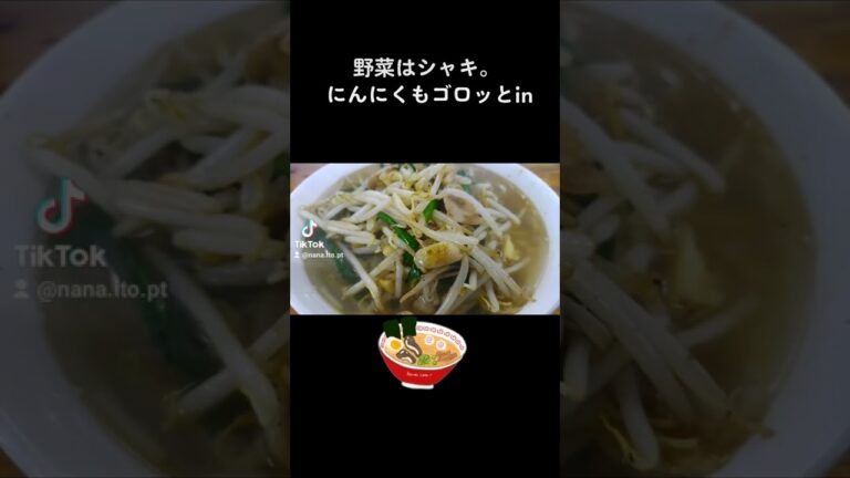 【超ガッツリ！】山梨県富士河口湖町 支那そばけん