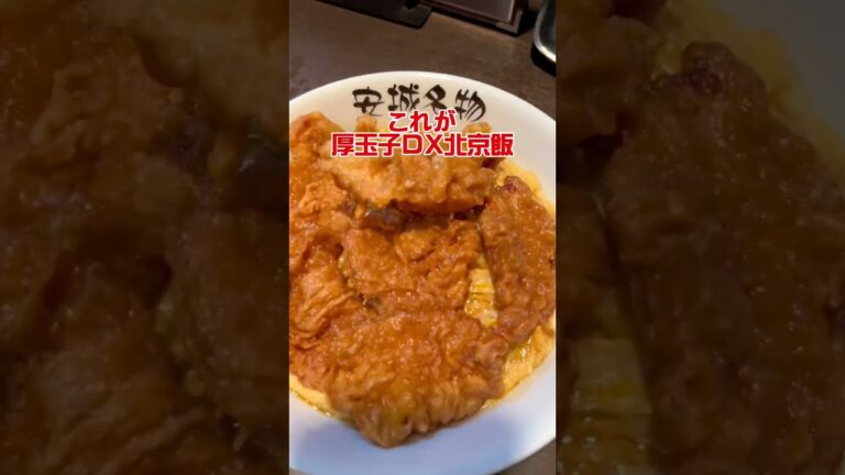 店主の「あちらのお客様からです」テクニックが凄い✨安城のソウルフード『北京飯』を北京本店に食べに行ってみたよぉ😏#コクありグルメ #コクあり #fyp #fypシ #北京本店 #北京飯