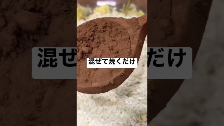 30代OLの暇つぶし。オートミールマフィン。