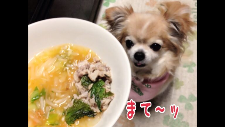 【犬手作りごはんレシピ】ドッグ☆アジのさんが焼き♪