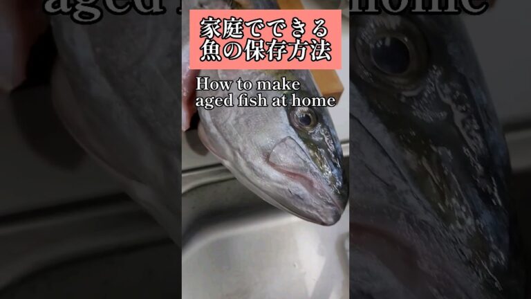 【魚保存革命】家庭でできる簡単な魚の保存方法 #熟成 #魚料理