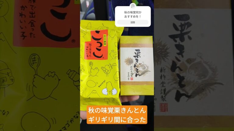 ［秋の味覚］栗きんとん間に合った(こっこはいつでも美味しい)#お菓子 #栗きんとん #秋の味覚 #おやつ #デザート #静岡 #名古屋 #高速バス
